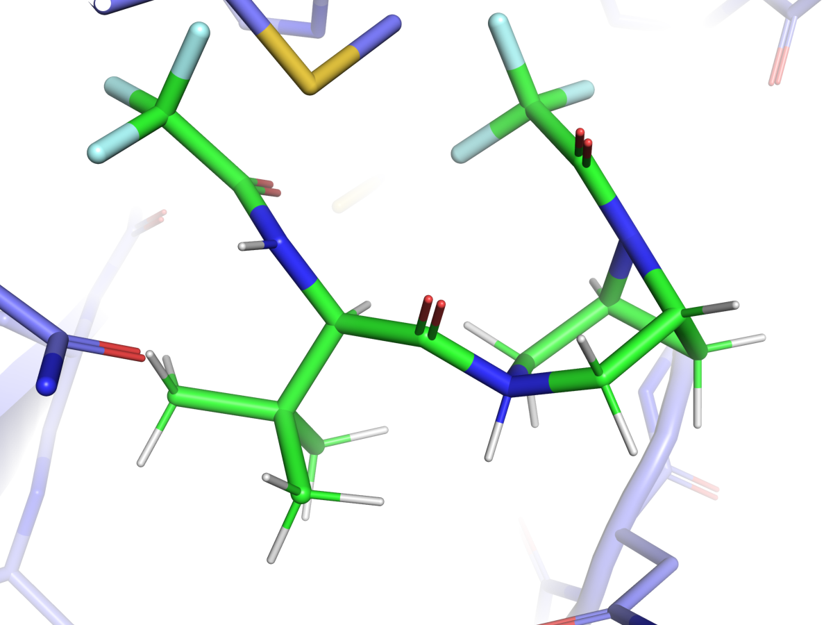 PyMOL — Nirmatrelvir · 6LU7